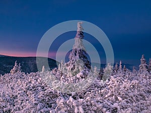 Snowy landscape with on a mounatin range with spruce covered with snow and rime sortly before sunset