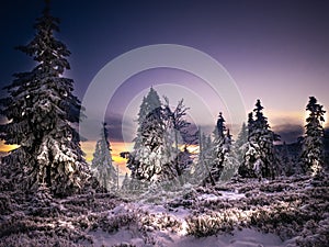 Snowy landscape on a mounatin range with spruce trees covered with snow and rime shortly before sunset