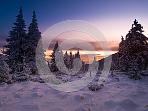 Snowy landscape on a mounatin range with spruce trees covered with snow and rime shortly before sunset