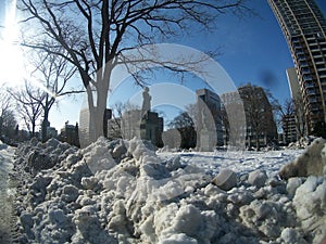 snowy landscape in Odori Park, Sapporo, Japan