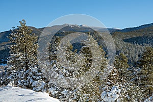 Snowy landscape of the Sangre de Cristo Mountains in New Mexico
