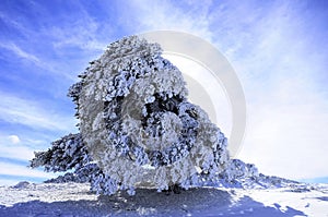 Nevado países de 