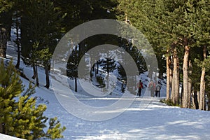 Snowy landscape of the Sierra de Guadarrama in Spain photo