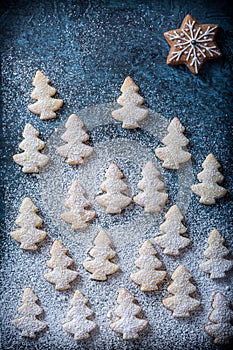 Snowy landscape with small Christmas trees and gingerbread star in sky