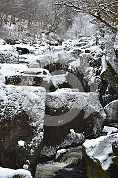 A snowy landscape with a stream, large stones and snow covered trees