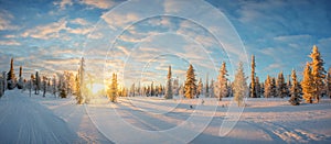 Snowy landscape at sunset, frozen trees in winter in Saariselka, Lapland Finland