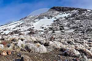 Snowy landscape in the Tongariro National Park, New Zealand