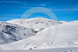 Snowy Landscape in Winter on the Lessinia High Plateau - Veneto Italy