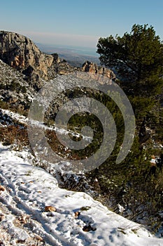 Snowy landscape in the winter season photo