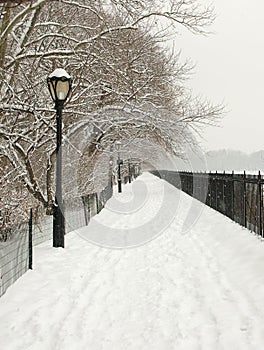 Snowy Lane, Central Park, New York USA