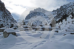 Snowy lansdscape in winter, Corsica, France, Europe