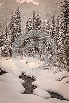 Snowy late afternoon winter scene along Frying Pan River Colorado