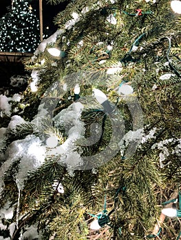 Snowy lighted pine tree with reflection of tree in background