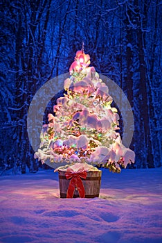 Snowy Lit Christmas Tree At Night in a Forest