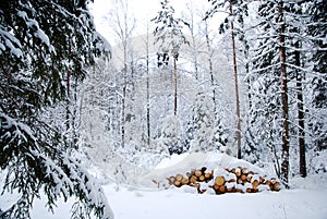 Snowy logpile