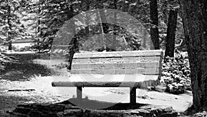 Snowy Lonesome Black & White Bench