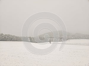 Snowy meadow and field in foggy picturesque scenery first snow of the season in late November