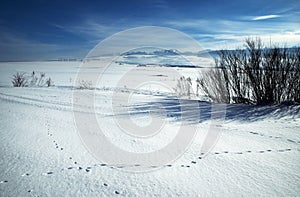 Snowy meadows on a mountain background