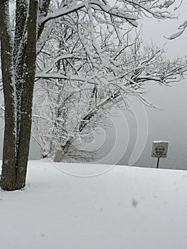 Snowy Michigan lake