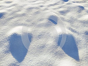 Snowy molehills in meadow in sunlight on cold winter day