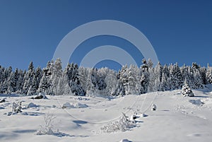 Snowy mountain