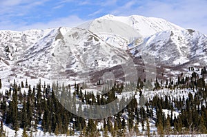 Snowy Mountain in Alaska Range in the Spring