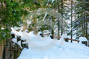 Snowy mountain bridge with snow covered trees