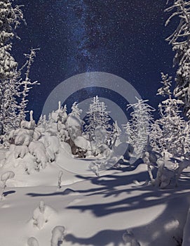 Snowy mountain forest at night with stars