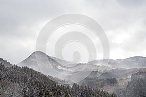 Snowy mountain forests of Northern kyushu