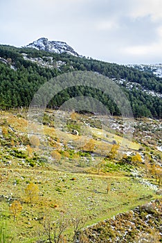 Snowy mountain of Hervas in autumn, Extremadura photo