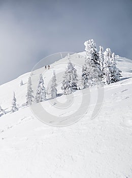 Snowy mountain landscape in cloudy weather near Rossland Range