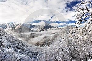 Snowy Mountain Morning