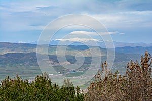 Snowy mountain over trees