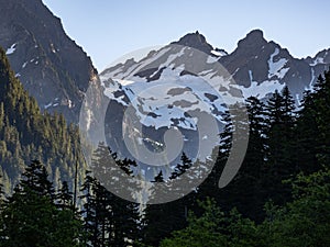 Snowy Mountain Peak and Dense Forest, Olympic National Park