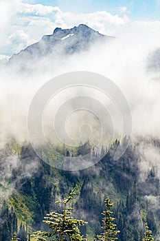 snowy mountain peeks near foggy valley and green forest