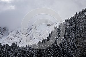 Snowy mountain range with clouds and a forest