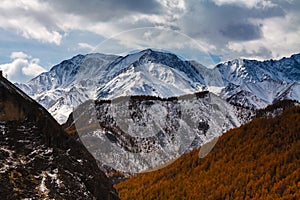 A snowy mountain with yellow forest in front and dramatic clouds