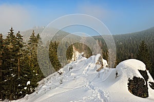 Schneebedeckt berge Nebel 