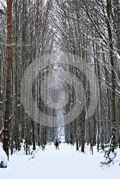 Snowy mountains in Isaba