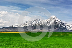 Zasnežené vrcholky hôr a zelené pole v jarných Vysokých Tatrách