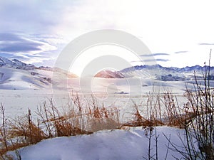 Snowy mountains and ridge  brown grass in the foreground. Winter landscape