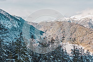 Snowy mountains and trees in the alps. View of the lake Eibsee