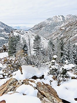 Snowy mountains in Utah