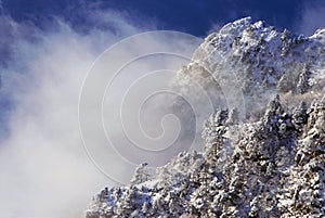 Nevado Nevado árboles a nubes 