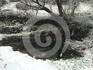 Snowy nature in kurdistan photo