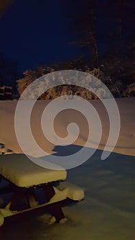 Snowy night
