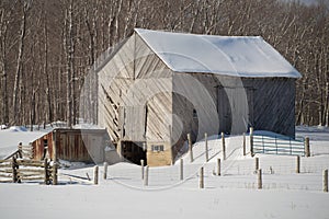 Snowy old barn with diagonal boards and barnyard landscape