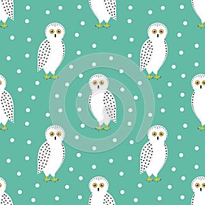 The snowy owl seamless winter pattern
