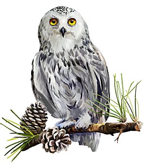 Snowy owl sitting on a branch photo