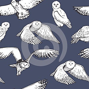 Snowy owls. Vector pattern